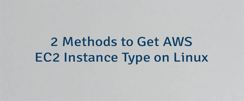 2 Methods to Get AWS EC2 Instance Type on Linux