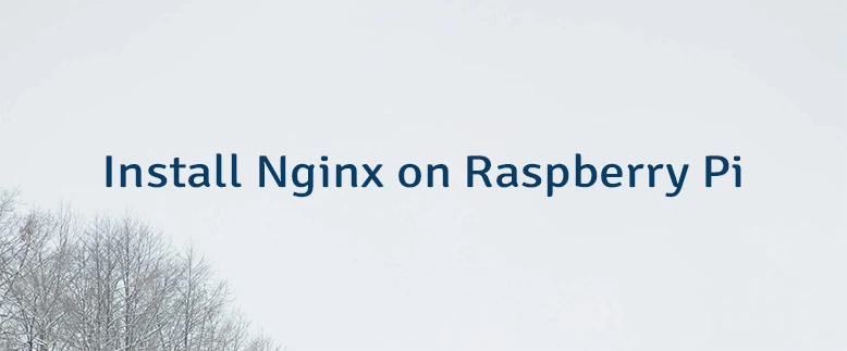 Install Nginx on Raspberry Pi