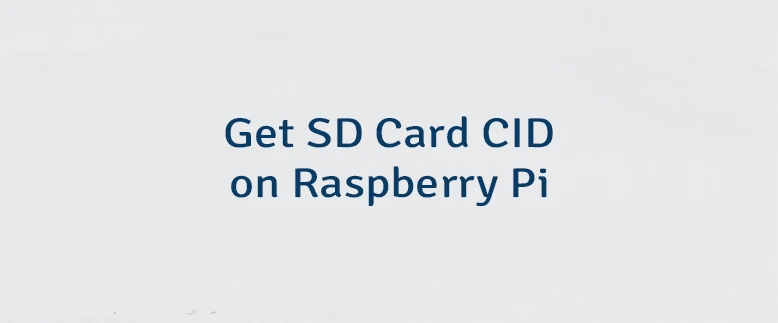 Get SD Card CID on Raspberry Pi
