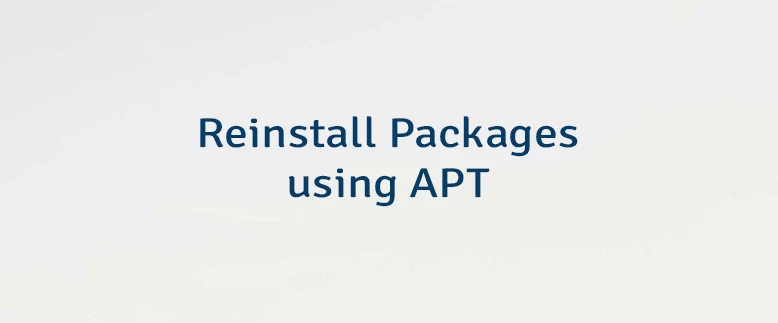Reinstall Packages using APT