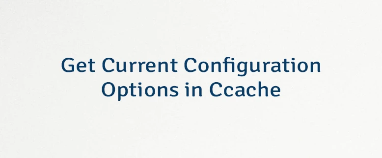 Get Current Configuration Options in Ccache