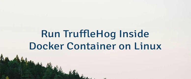 Run TruffleHog Inside Docker Container on Linux