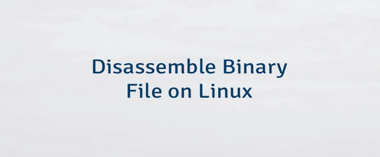 Disassemble Binary File on Linux