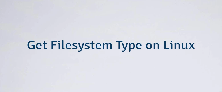 Get Filesystem Type on Linux