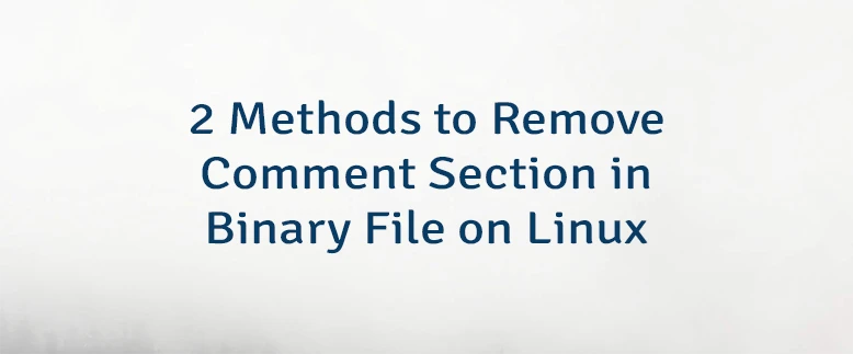 2 Methods to Remove Comment Section in Binary File on Linux