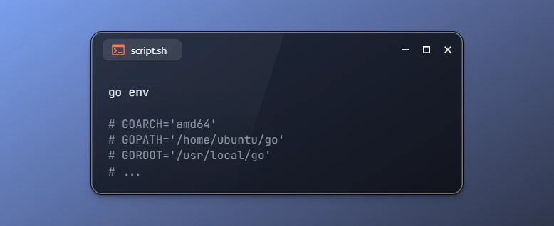 Get Go Environment Information