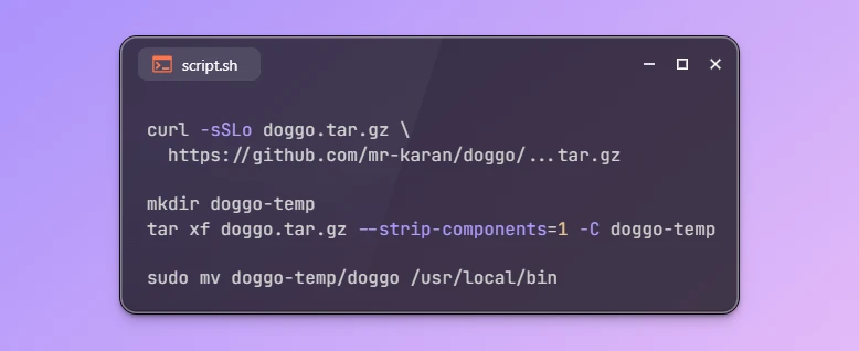 Install doggo DNS Lookup Tool on Ubuntu 26.04