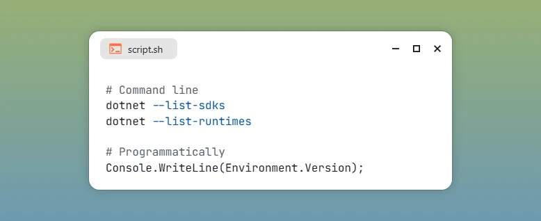 Check .NET Version