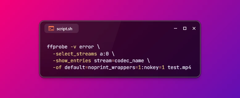 Get Audio Codec of File using FFmpeg