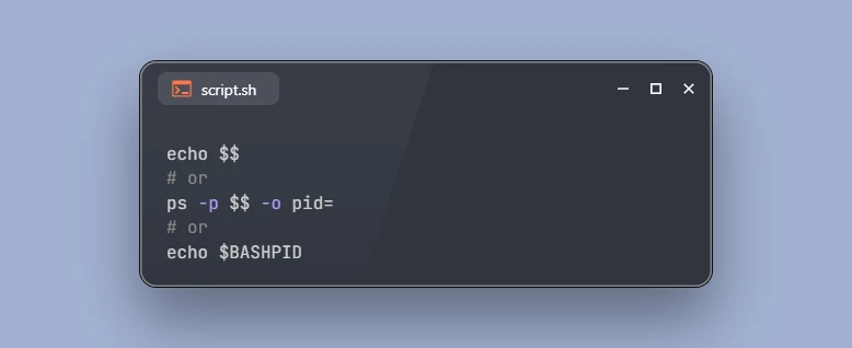 3 Methods to Get Shell PID on Linux